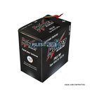 Pile alcaline 9V NR625L - 6R25L pour lanternes SNCF A.Q Pro
